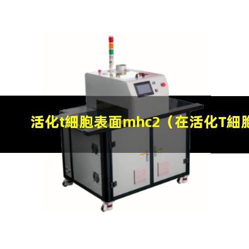 活化t細胞表面mhc2